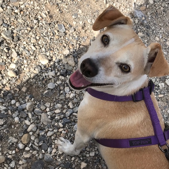 Meet your Posher, Carolyn - Picture 9 of 13